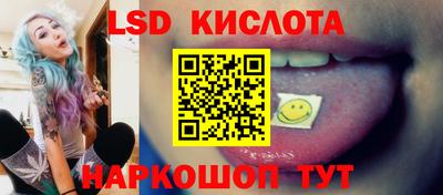 прущие грибы Усть-Джегута