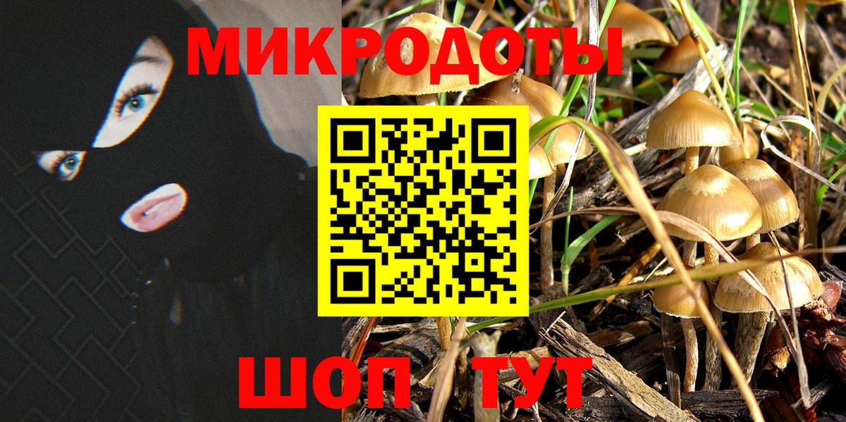 Александров  Галлюциногенные грибы GOLDEN TEACHER  Вход с VPN  Псилоцибиновые грибы прущие грибы 