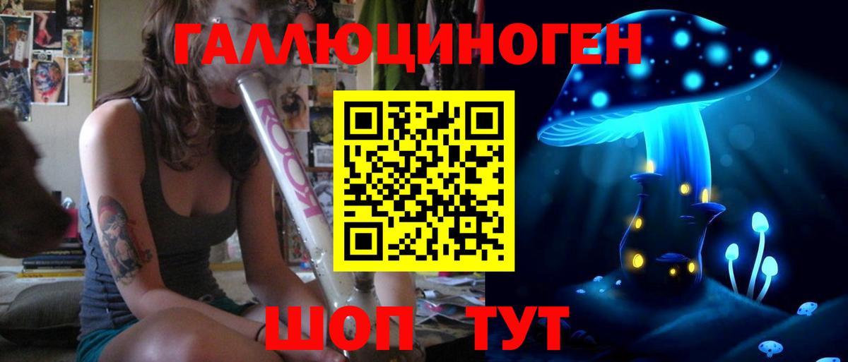 Псилоцибиновые грибы Cubensis Александров